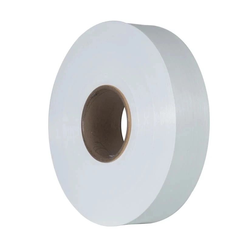 Nylon 30/1F bright monofilament nylon 6 filament yarn for fabric